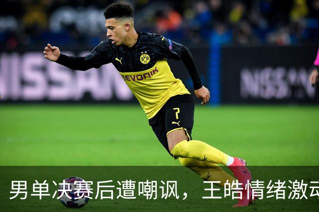 男单决赛后遭嘲讽，王皓情绪激动被王励勤安慰